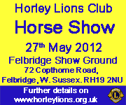 Horley Lions Horse Show