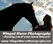 www.WingedHorsePhotography.net