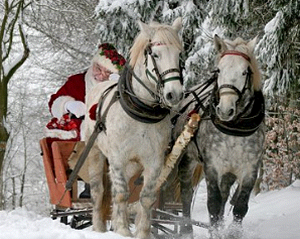 father_christmas_and_horses